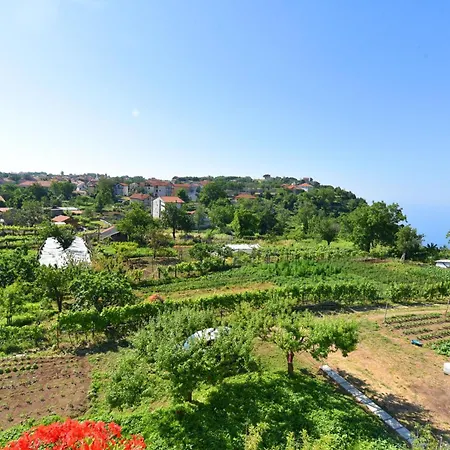 Apartment La Terrazza Sugli Dei 2 Agerola