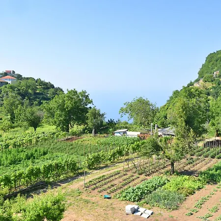 Apartment La Terrazza Sugli Dei 2 Agerola